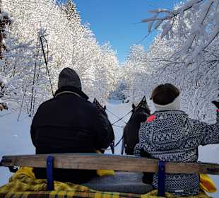 Eine traumhafte Schlittenfahrt mit 2 PS 