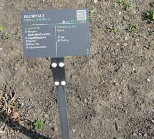 Hinweistafel zum eingepflanzten Kraut
