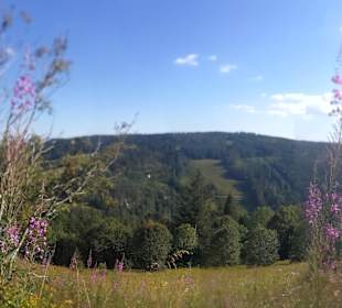 Wandern Feldberg
