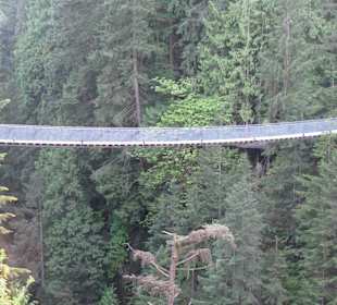 Capilano Suspension Bridge and Park