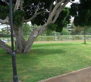 Taoro Park nach Umbau