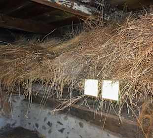 Rundgang durch das Bauernhausmuseum Amerang