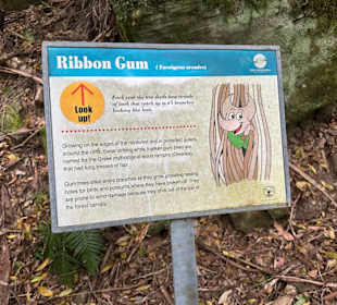 Katoomba Scenic World