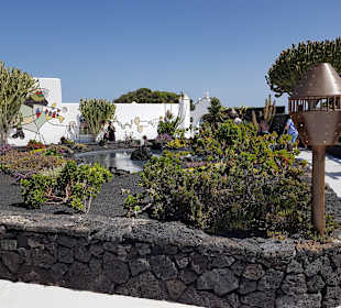 Jameos del Agua Cesar Manrique