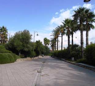 Parco Fausto Noce