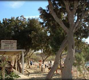 Urige Taverne in Agia Anna auf Mykonos