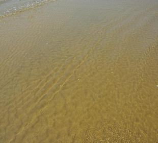 Strand von Bibione 06-2010