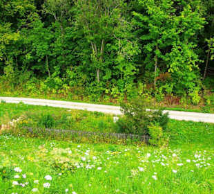 Das Oberbecken Happurger Stausee