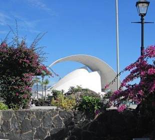 Das Auditorium in Santa Cruz.