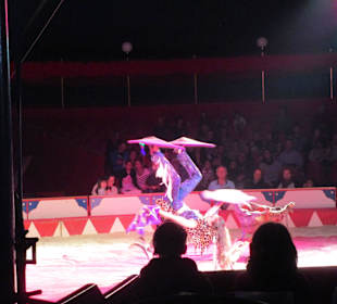 Landauer Weihnachtscircus 2015