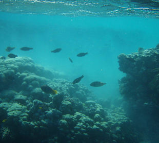 Leichter Bodennebel am Ein- bzw. Ausgang
