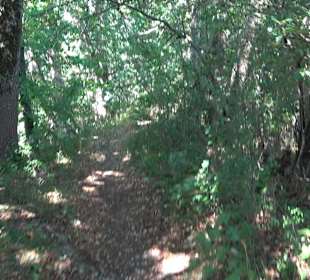 Tour entlang der Traifelbergfelsen