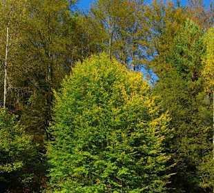 Wanderung zum Signalstein Fränk.Schweiz