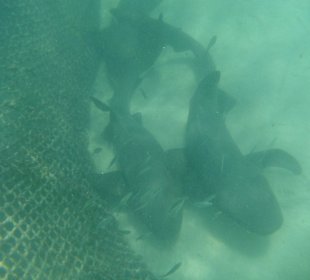 Hotel Grand Palladium Punta Cana Resort & Spa