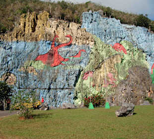 Auf der Exkursion ins Tal