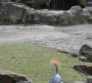 Allwetterzoo Münster