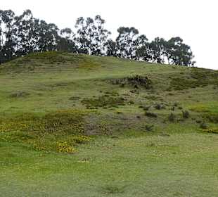 In der Anlage unterwegs