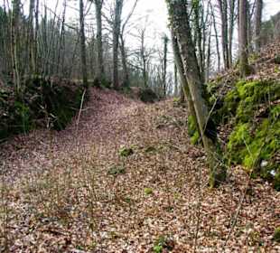 Der Sperrwall um die Burg herum