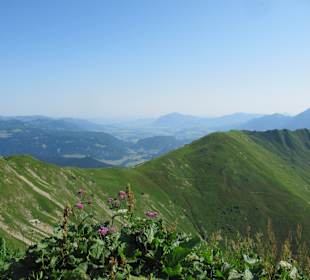 Wandern Fischen im Allgäu
