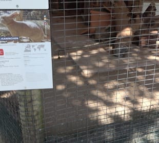 Zoo Heidelberg