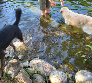 Gartenanlage MILLIEs hosting - Familienurlaub mit Hund in Kärnten