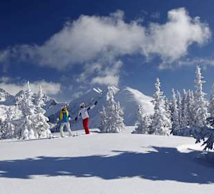 Skiing