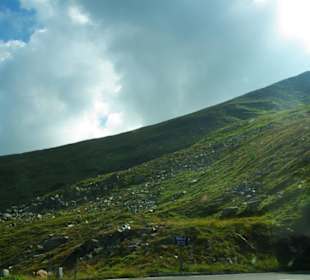 Oben die Edelweißhöhe