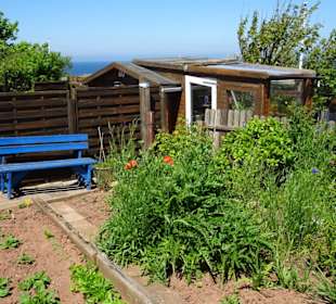 Rundgang durch die Schrebergarten-Kolonie