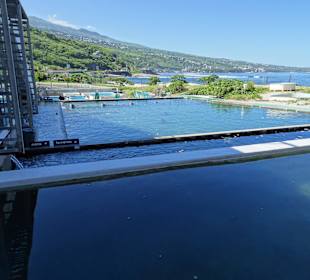 Zuchtbecken der Kélonia-Station