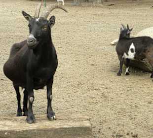 Serengeti Park Hodenhagen