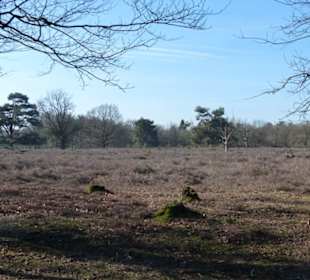 Abwechslungsreicher Weg