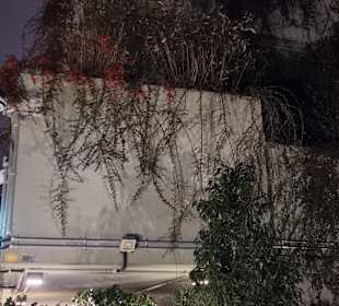 Beleuchteter Teil des Bunkers