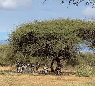 Tsavo West National Park