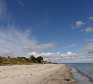 Strand Kronsgaard