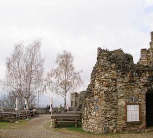 Burgruine Taggenbrunn