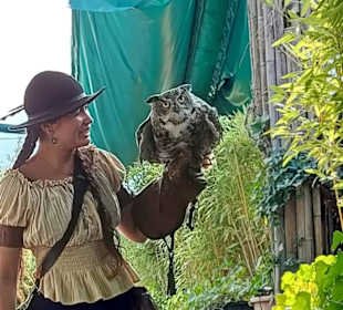 Falconeria Uhu