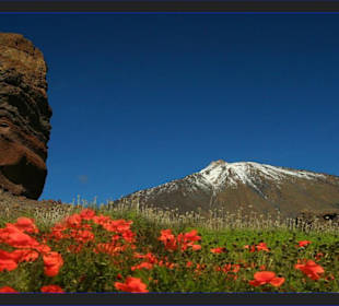 * Pico de Teide*