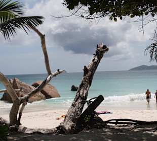Anse Lazio