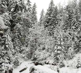 Frozen stream