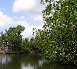 Nationalpark Los Haitises