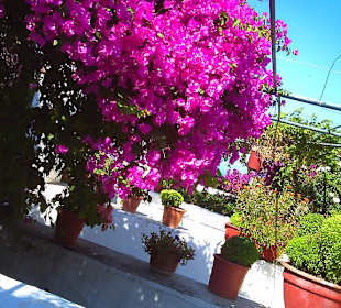 Klostergarten mit Wow-Effekt