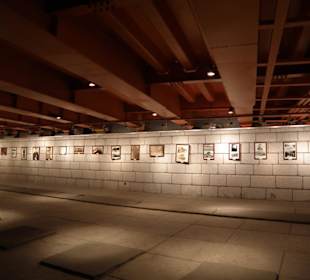 Esposizione al fiume