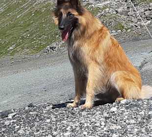 Wandern Samnaun