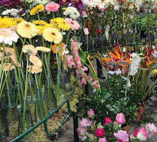 Impressionen vom Blumenfestival in Funchal