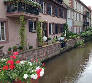  Altstadt Wissembourg