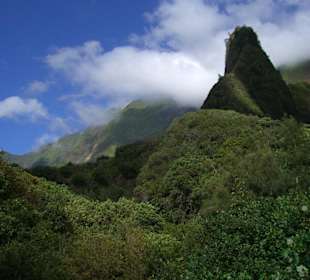 Und immer wieder sieht man "The Needle"