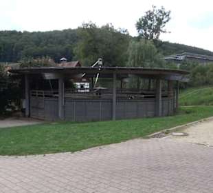 Haupt- und Landgestüt Marbach