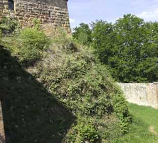 Burgruine Hohenrechberg