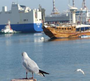 Die Dhow gehört auch zur Sultansflotte
