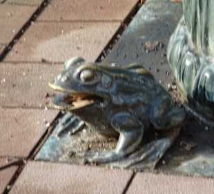 Brunnen